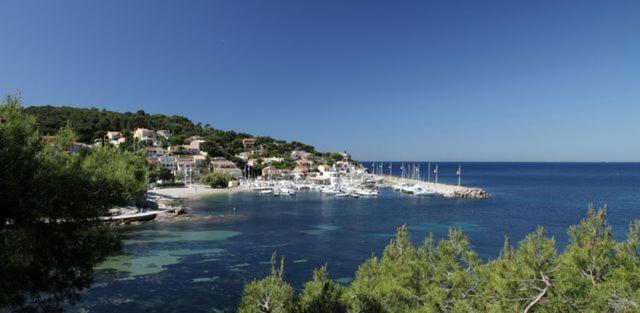 Le Clos Du Bonheur Le Pradet Exteriör bild